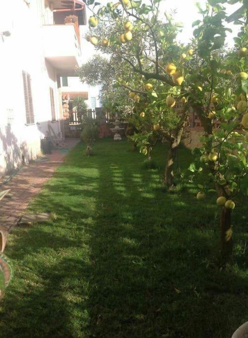 Villa Su Suergiu à San Giovanni Suèrgiu Extérieur photo